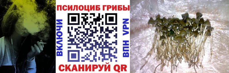Галлюциногенные грибы MAGIC MUSHROOMS  Хилок 